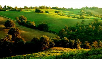 Toscana al completo desde Florencia